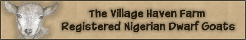 Village Haven Farm
