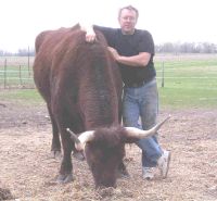 ABle April 2004