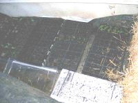 Cold Frame