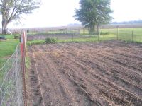 Just planted