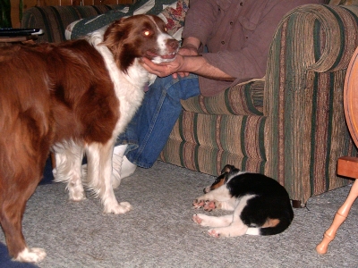 Heidi & Pup