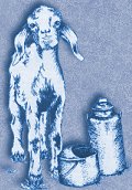 Hoegger Goat Supply