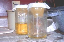 Filtering 