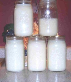 Tallow
